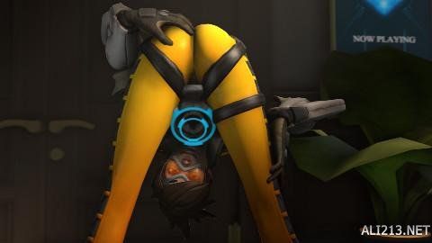 染了众多观 染了众多观